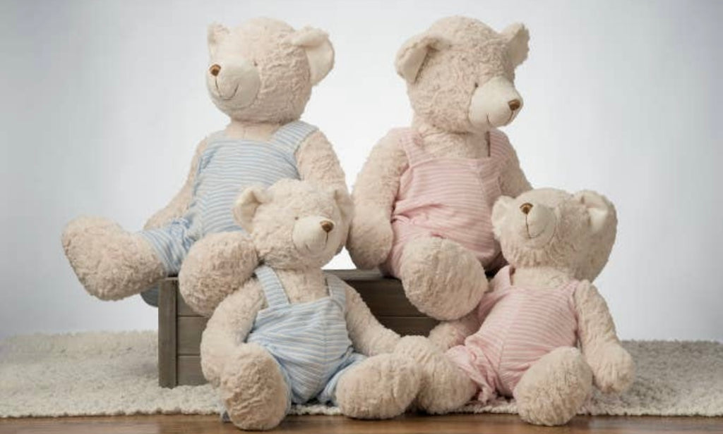 Teddy Bear Stuffed Animal