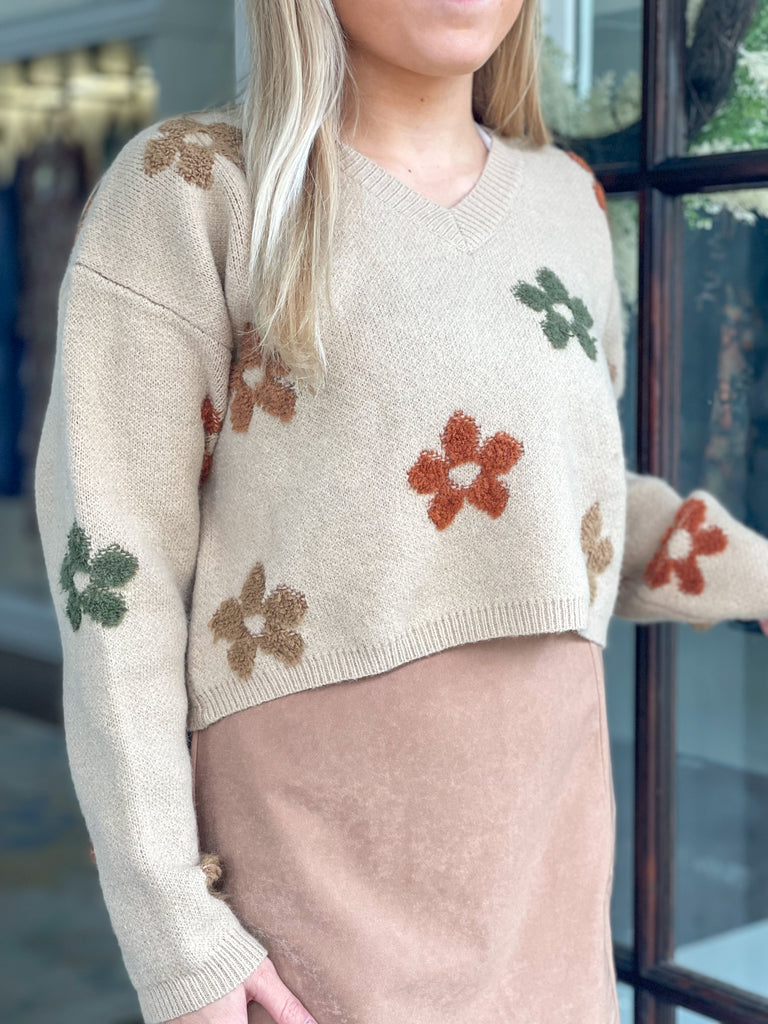 Multi Color Daisy Cropped Knit Sweater